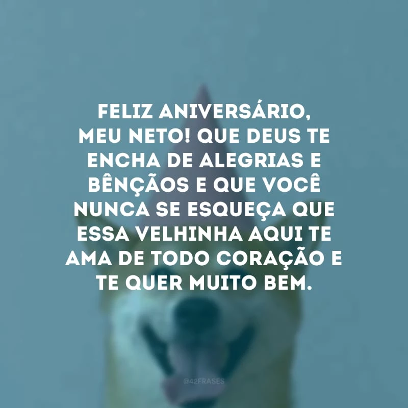 Feliz aniversário, meu neto! Que Deus te encha de alegrias e bênçãos e que você nunca se esqueça que essa velhinha aqui te ama de todo coração e te quer muito bem.