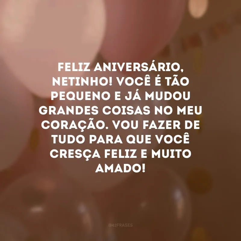 Feliz aniversário, netinho! Você é tão pequeno e já mudou grandes coisas no meu coração. Vou fazer de tudo para que você cresça feliz e muito amado!