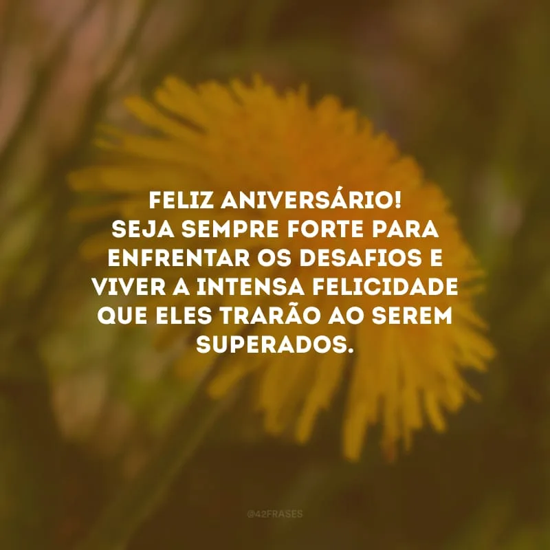 Feliz aniversário! Seja sempre forte para enfrentar os desafios e viver a intensa felicidade que eles trarão ao serem superados. 