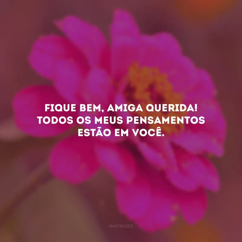 Fique bem, amiga querida! Todos os meus pensamentos estão em você.