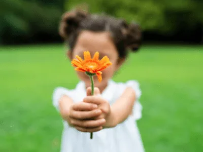 50 frases curtas de agradecimento que encherão sua vida de paz e alegria