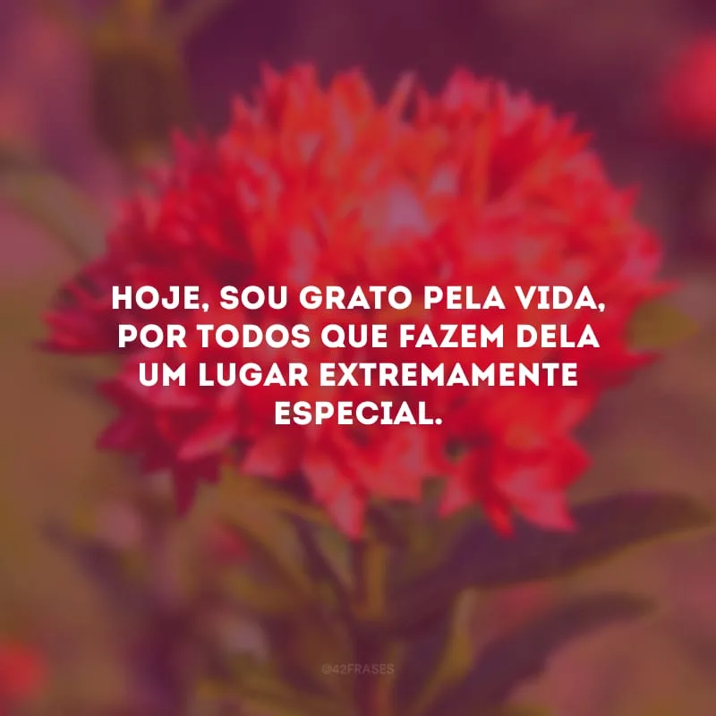 Hoje, sou grato pela vida, por todos que fazem dela um lugar extremamente especial.