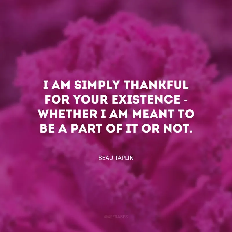 I am simply thankful for your existence - whether I am meant to be a part of it or not. (Eu sou grato por sua existência - fazendo parte dela ou não.)