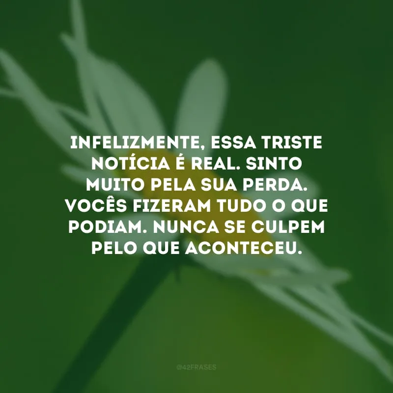 Infelizmente, essa triste notícia é real. Sinto muito pela sua perda. Vocês fizeram tudo o que podiam. Nunca se culpem pelo que aconteceu.