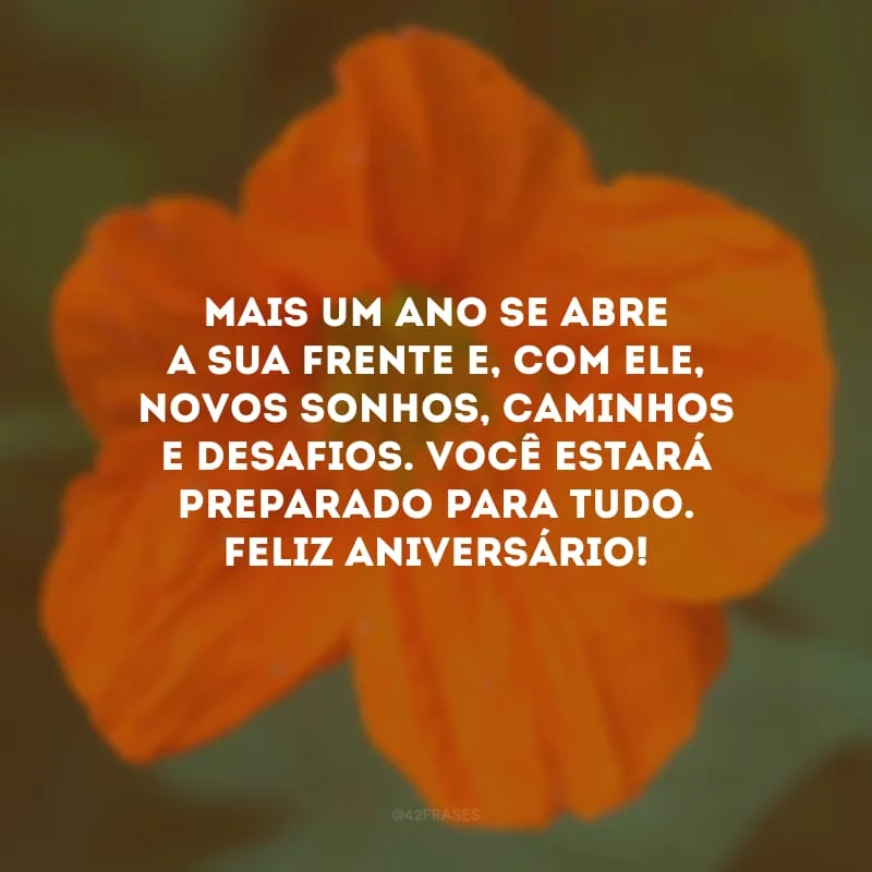 Mais um ano se abre a sua frente e, com ele, novos sonhos, caminhos e desafios. Você estará preparado para tudo. Feliz aniversário!