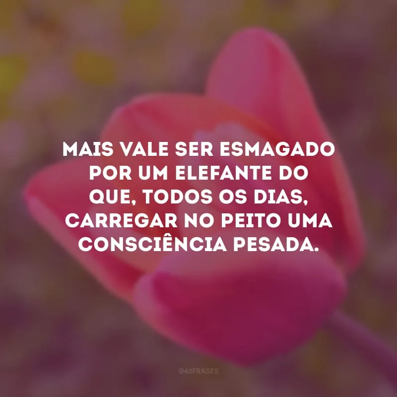 Mais vale ser esmagado por um elefante do que, todos os dias, carregar no peito uma consciência pesada.