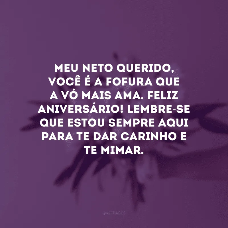 Meu neto querido, você é a fofura que a vó mais ama. Feliz aniversário! Lembre-se que estou sempre aqui para te dar carinho e te mimar.