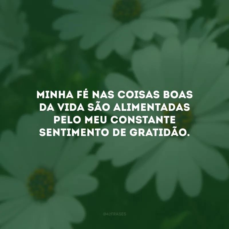 Minha fé nas coisas boas da vida são alimentadas pelo meu constante sentimento de gratidão. 