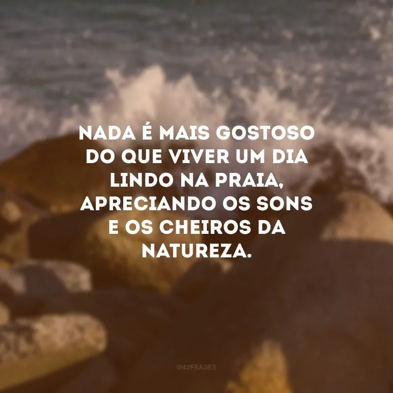 Nada é mais gostoso do que viver um dia lindo na praia, apreciando os sons e os cheiros da natureza.