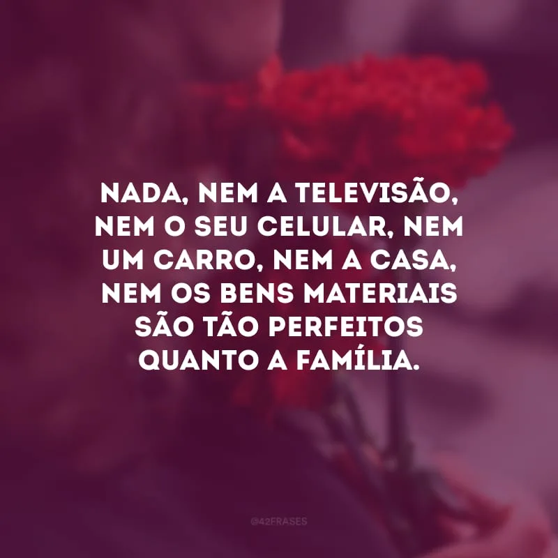 Nada, nem a televisão, nem o seu celular, nem um carro, nem a casa, nem os bens materiais são tão perfeitos quanto a família. 