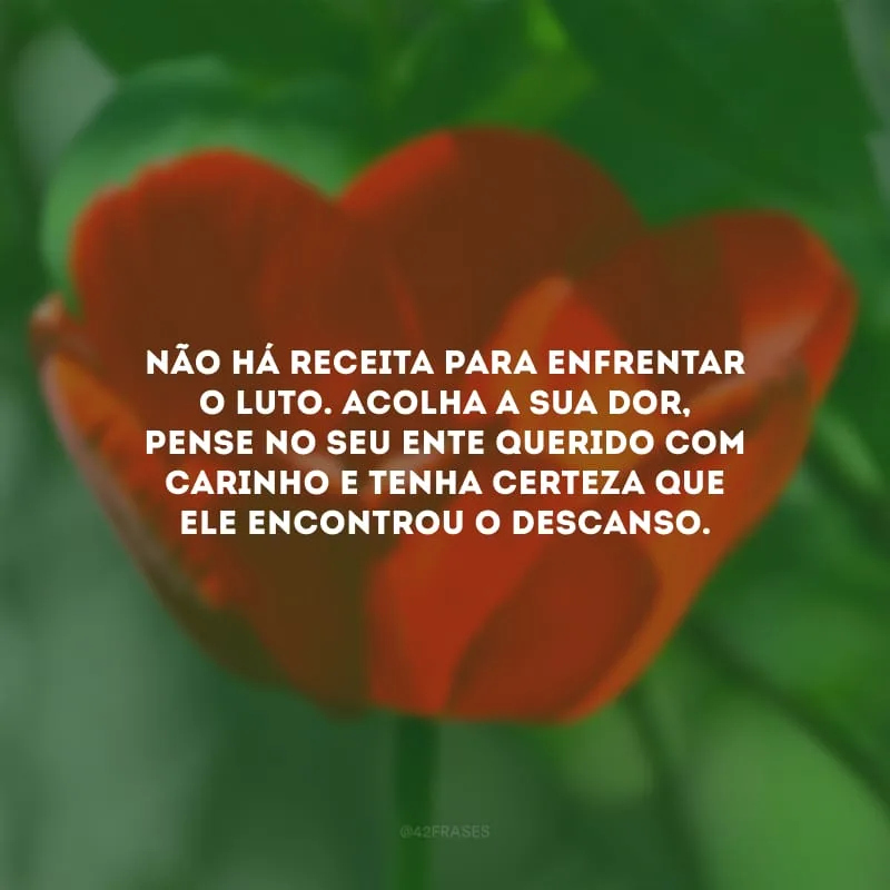 Não há receita para enfrentar o luto. Acolha a sua dor, pense no seu ente querido com carinho e tenha certeza que ele encontrou o descanso.