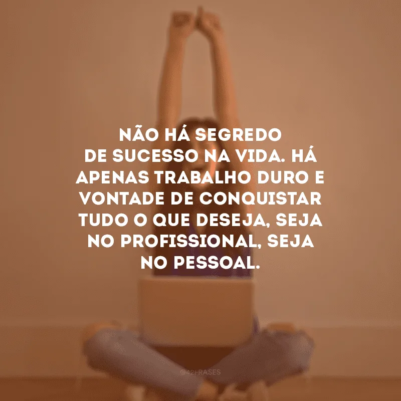 Não há segredo de sucesso na vida. Há apenas trabalho duro e vontade de conquistar tudo o que deseja, seja no profissional, seja no pessoal.
