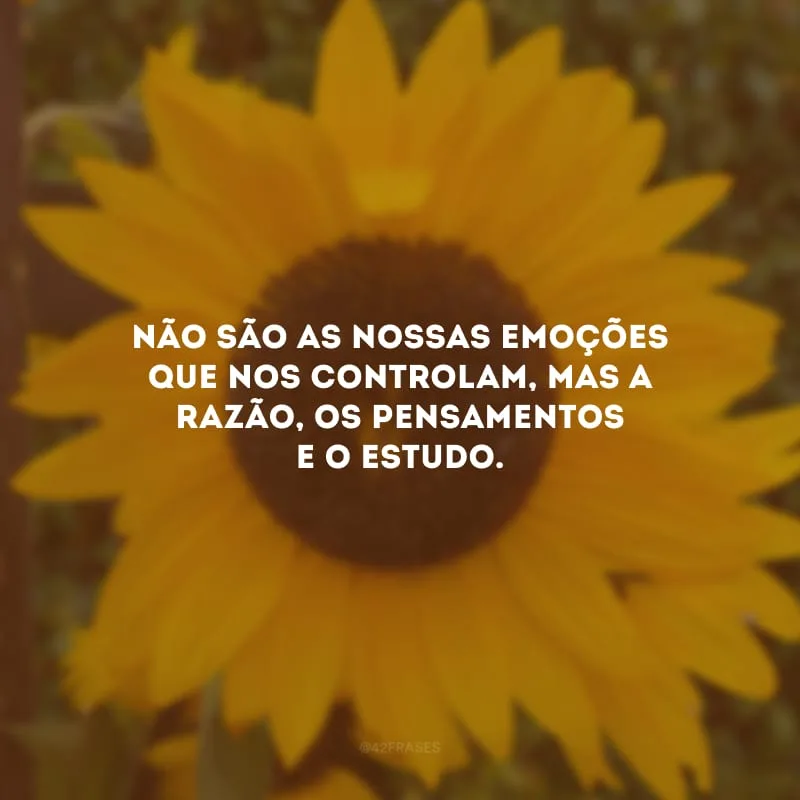 Não são as nossas emoções que nos controlam, mas a razão, os pensamentos e o estudo.