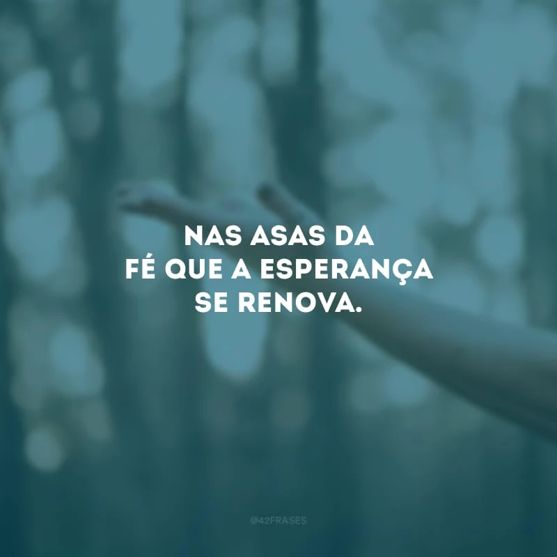 Nas asas da fé que a esperança se renova. 