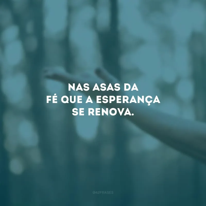 Nas asas da fé que a esperança se renova. 
