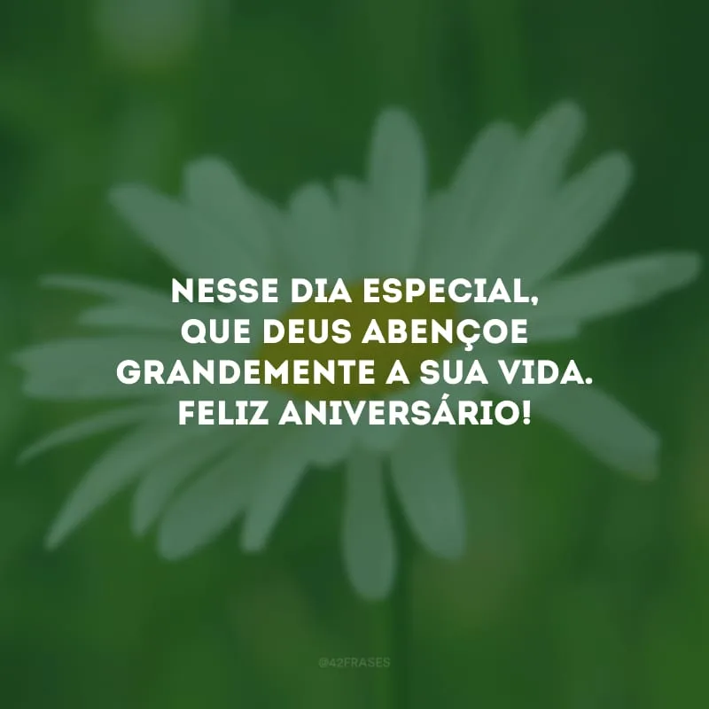 Nesse dia especial, que Deus abençoe grandemente a sua vida. Feliz aniversário!