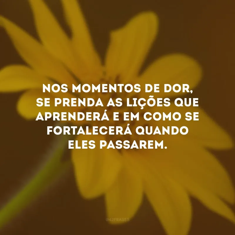 Nos momentos de dor, se prenda as lições que aprenderá e em como se fortalecerá quando eles passarem.
