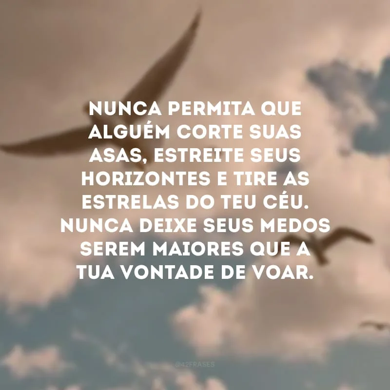 Nunca permita que alguém corte suas asas, estreite seus horizontes e tire as estrelas do teu céu. Nunca deixe seus medos serem maiores que a tua vontade de voar. 