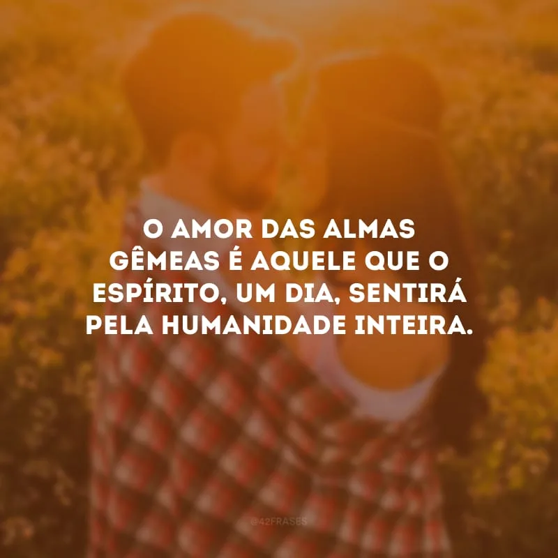 O amor das almas gêmeas é aquele que o espírito, um dia, sentirá pela humanidade inteira. 