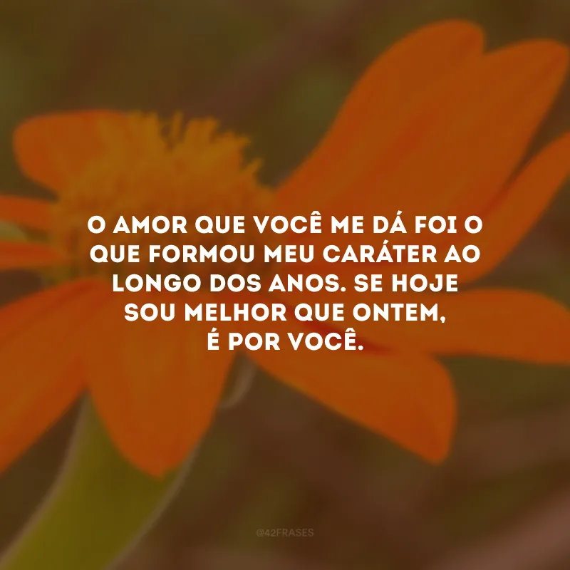 O amor que você me dá foi o que formou meu caráter ao longo dos anos. Se hoje sou melhor que ontem, é por você.