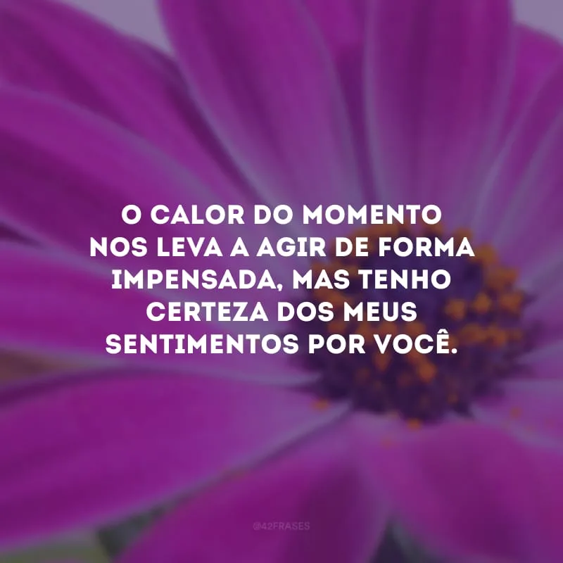 O calor do momento nos leva a agir de forma impensada, mas tenho certeza dos meus sentimentos por você.
