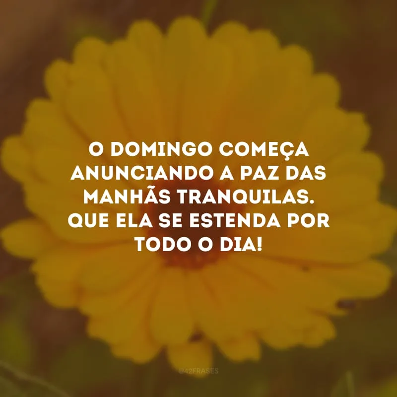 O domingo começa anunciando a paz das manhãs tranquilas. Que ela se estenda por todo o dia!