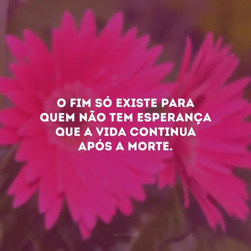 O fim só existe para quem não tem esperança que a vida continua após a morte.