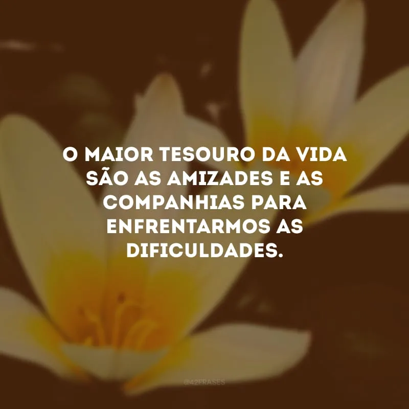 O maior tesouro da vida são as amizades e as companhias para enfrentarmos as dificuldades.