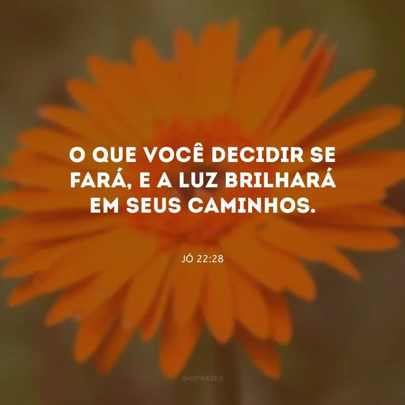 O que você decidir se fará, e a luz brilhará em seus caminhos.
