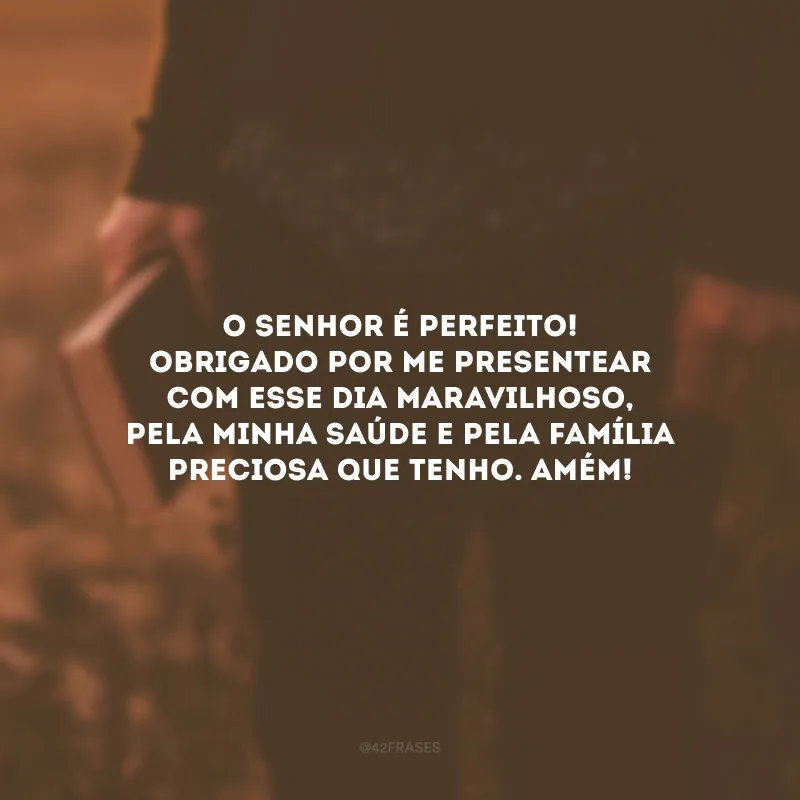 O Senhor é perfeito! Obrigado por me presentear com esse dia maravilhoso, pela minha saúde e pela família preciosa que tenho. Amém!