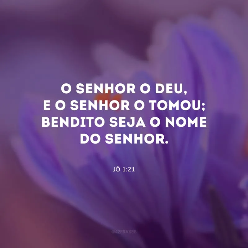 O Senhor o deu, e o Senhor o tomou; bendito seja o nome do Senhor.
