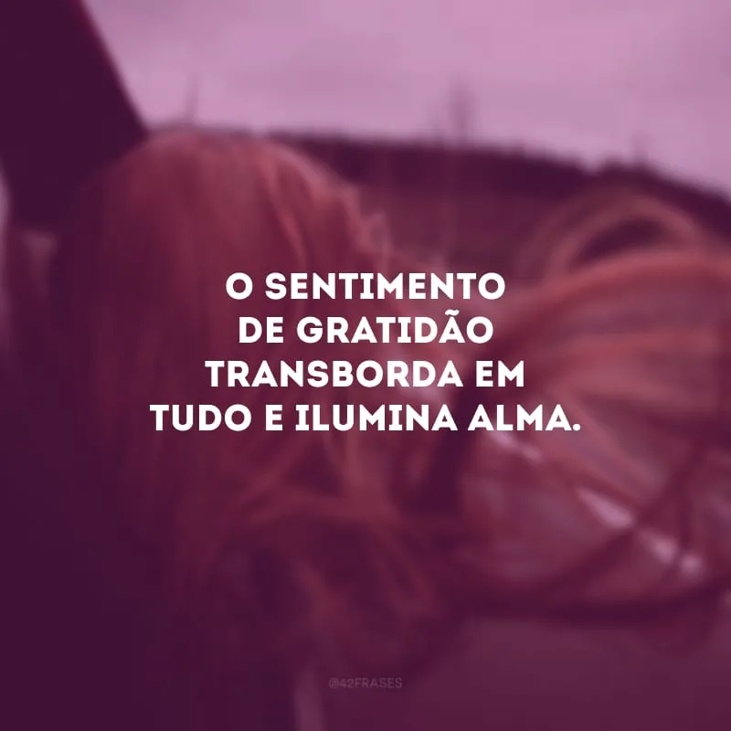 O sentimento de gratidão transborda em tudo e ilumina  alma. 