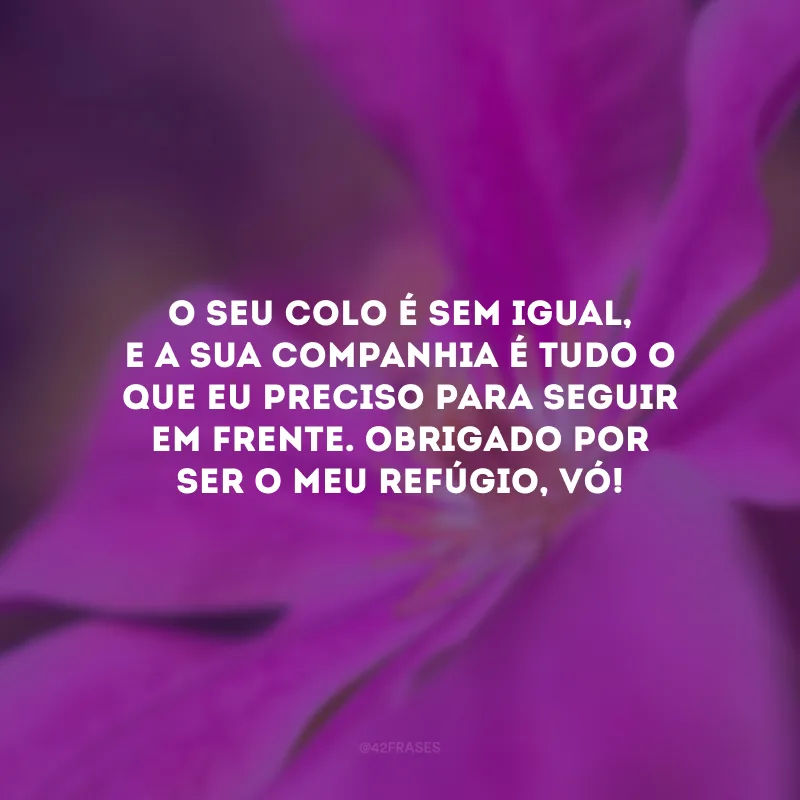 O seu colo é sem igual, e a sua companhia é tudo o que eu preciso para seguir em frente. Obrigado por ser o meu refúgio, vó!