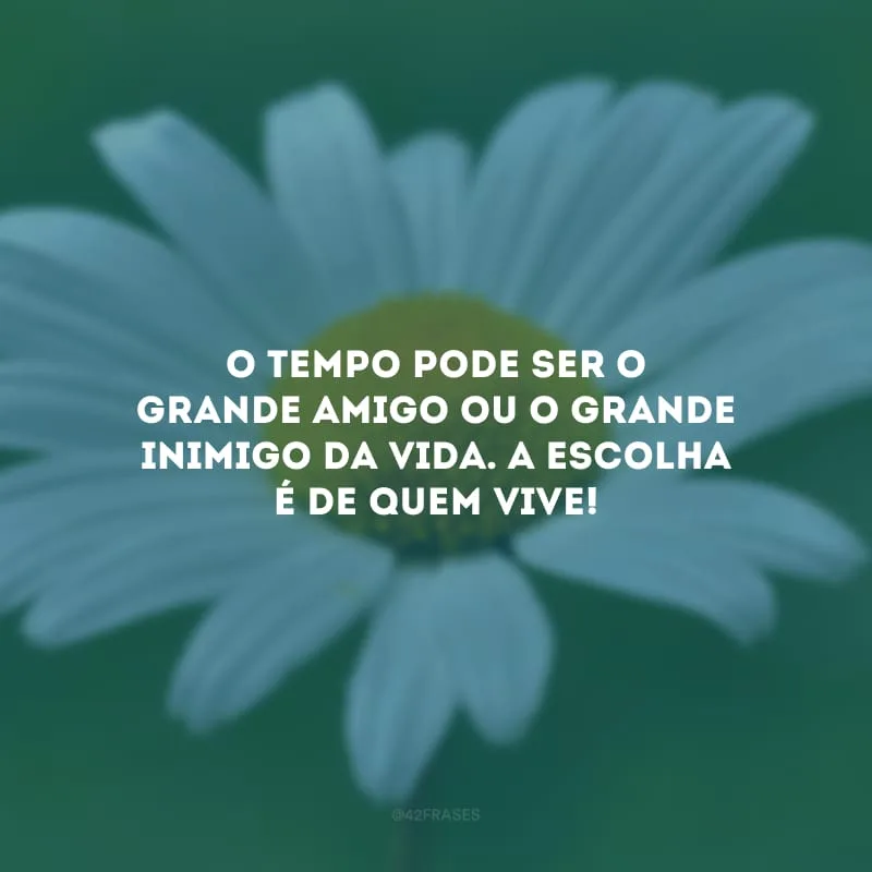 O tempo pode ser o grande amigo ou o grande inimigo da vida. A escolha é de quem vive! 