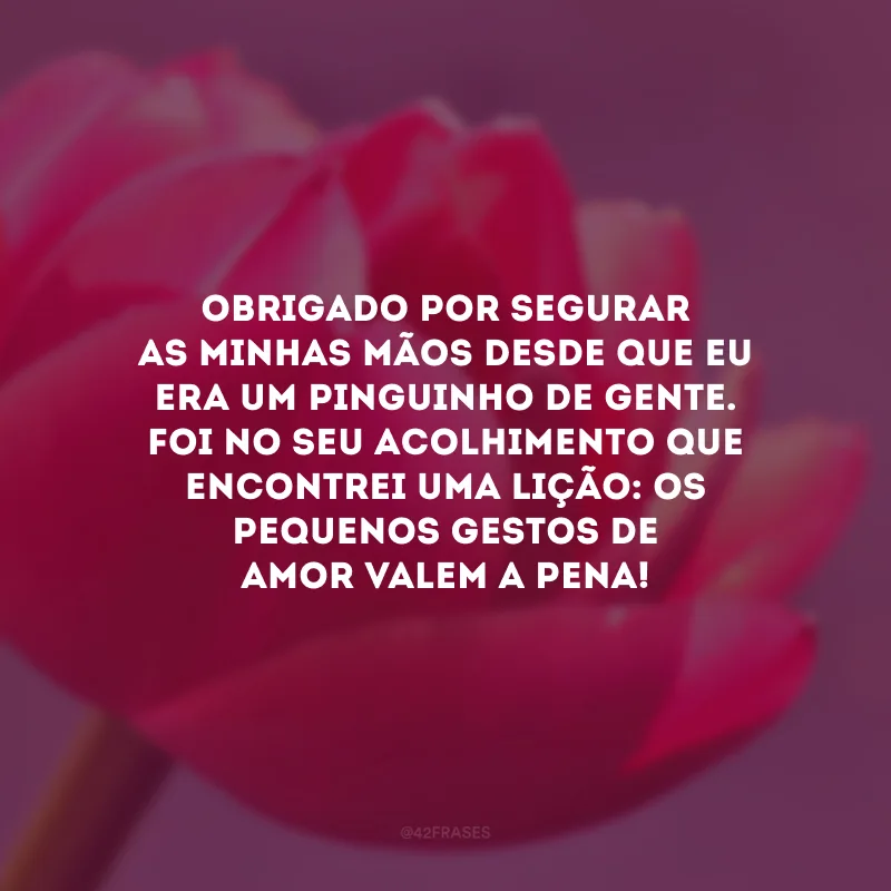 Obrigado por segurar as minhas mãos desde que eu era um pinguinho de gente. Foi no seu acolhimento que encontrei uma lição: os pequenos gestos de amor valem a pena!