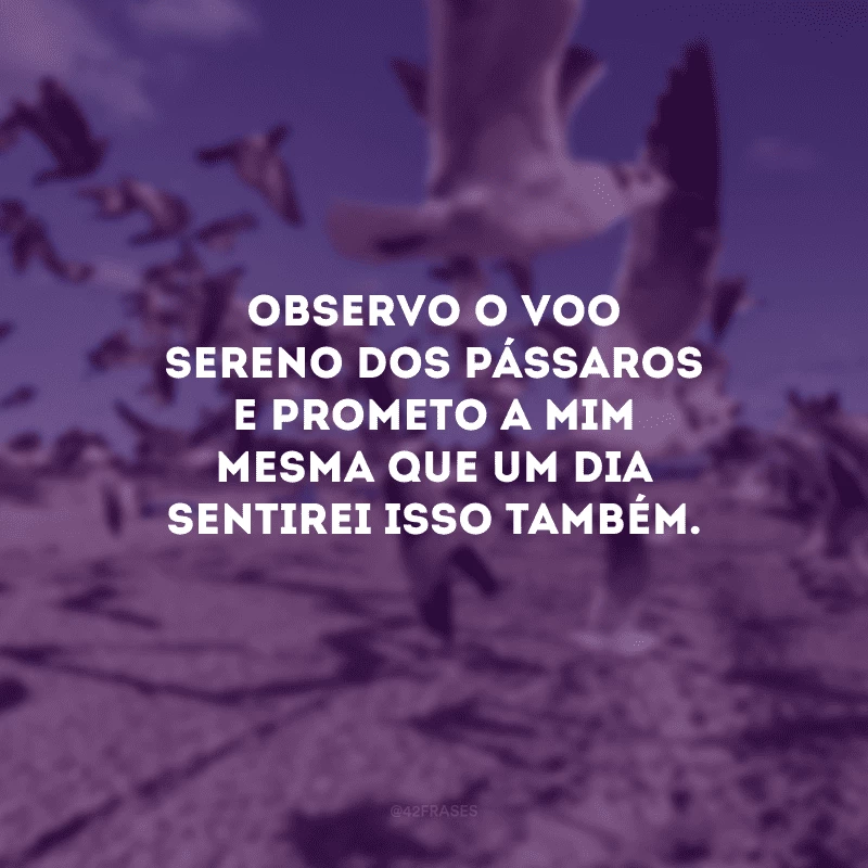 Observo o voo sereno dos pássaros e prometo a mim mesma que um dia sentirei isso também.
