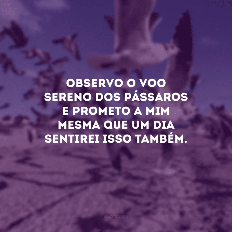 Observo o voo sereno dos pássaros e prometo a mim mesma que um dia sentirei isso também.
