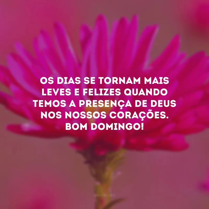 Os dias se tornam mais leves e felizes quando temos a presença de Deus nos nossos corações. Bom domingo! 