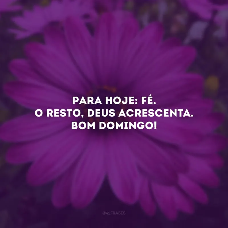 Para hoje: fé. O resto, Deus acrescenta. Bom domingo! 
