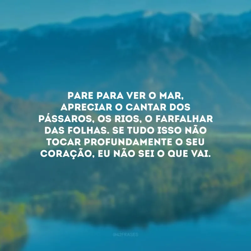 Pare para ver o mar, apreciar o cantar dos pássaros, os rios, o farfalhar das folhas. Se tudo isso não tocar profundamente o seu coração, eu não sei o que vai.