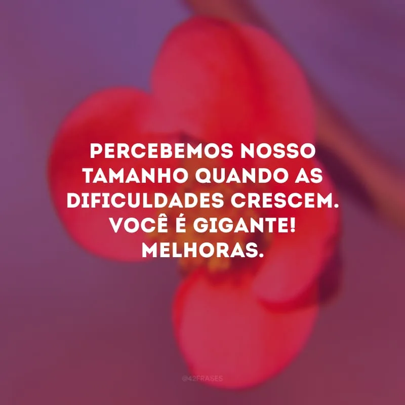 Percebemos nosso tamanho quando as dificuldades crescem. Você é gigante! Melhoras.