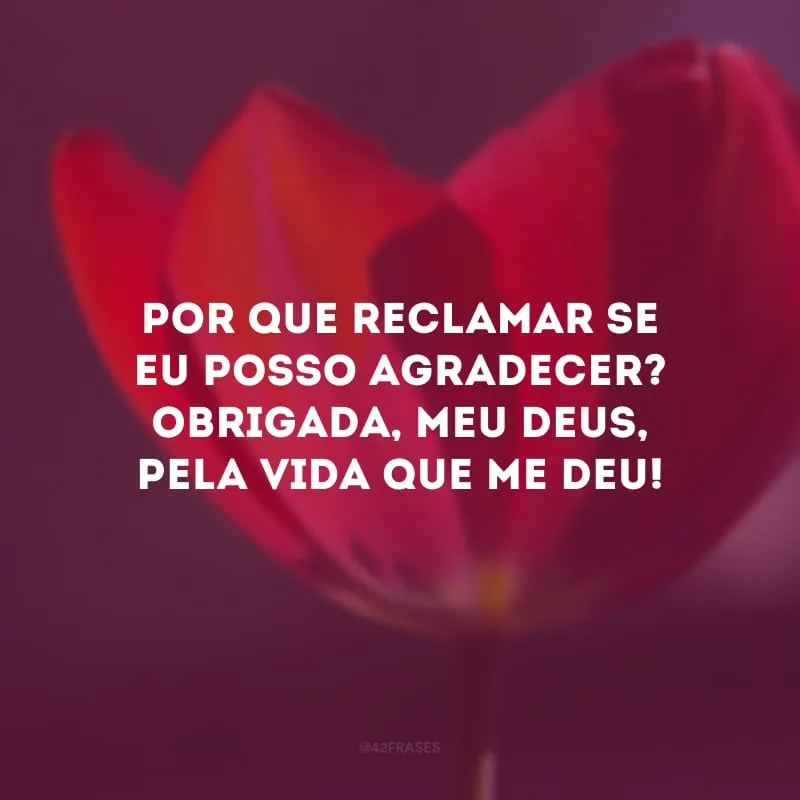 Por que reclamar se eu posso agradecer? Obrigada, meu Deus, pela vida que me deu!