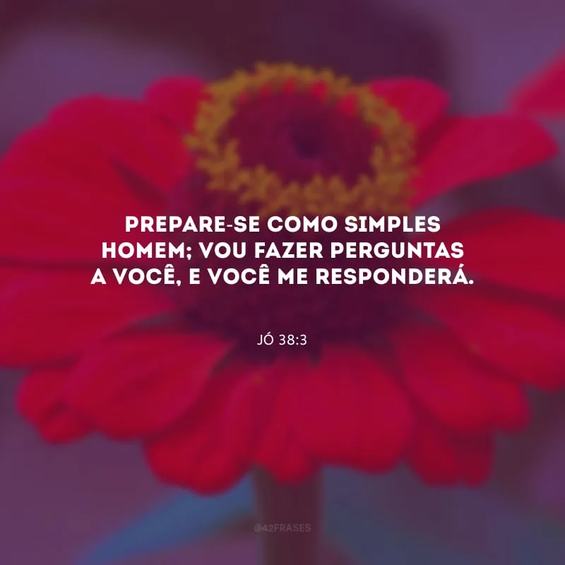 Prepare-se como simples homem; vou fazer perguntas a você, e você me responderá.
