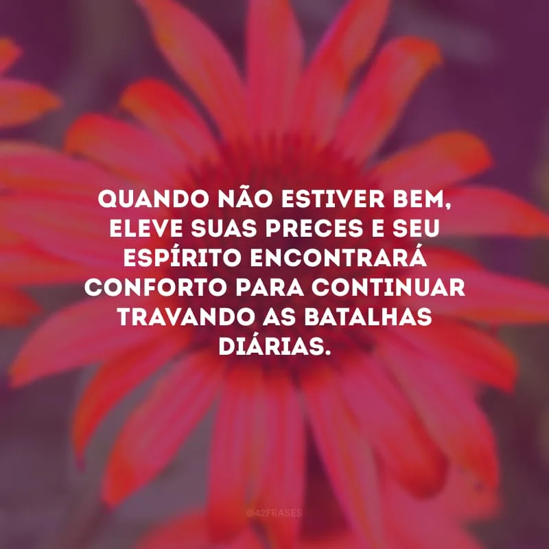 Quando não estiver bem, eleve suas preces e seu espírito encontrará conforto para continuar travando as batalhas diárias.