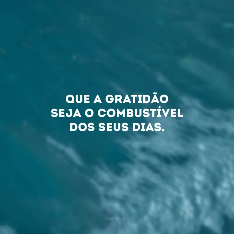 Que a gratidão seja o combustível dos seus dias. 