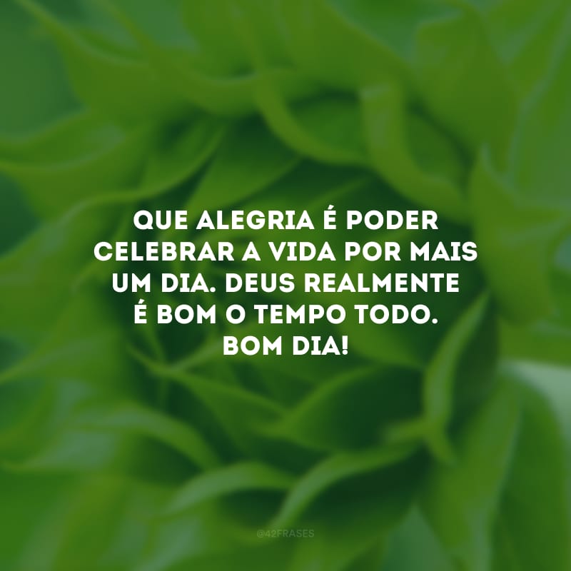 Que alegria é poder celebrar a vida por mais um dia. Deus realmente é bom o tempo todo. Bom dia! 
