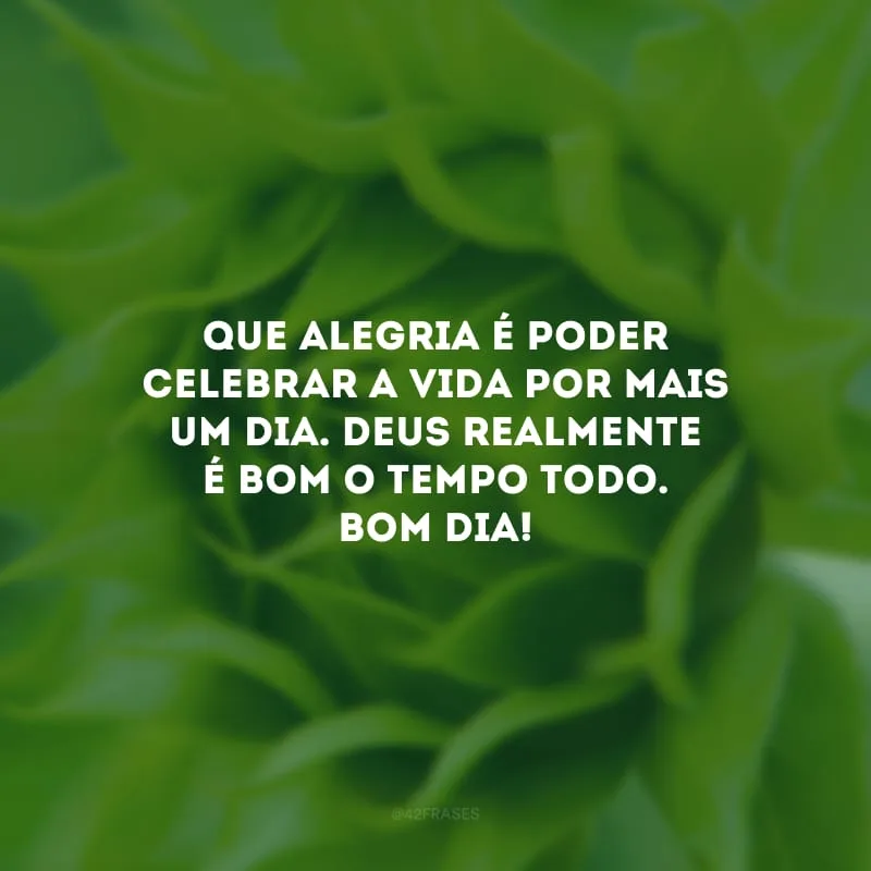 Que alegria é poder celebrar a vida por mais um dia. Deus realmente é bom o tempo todo. Bom dia! 