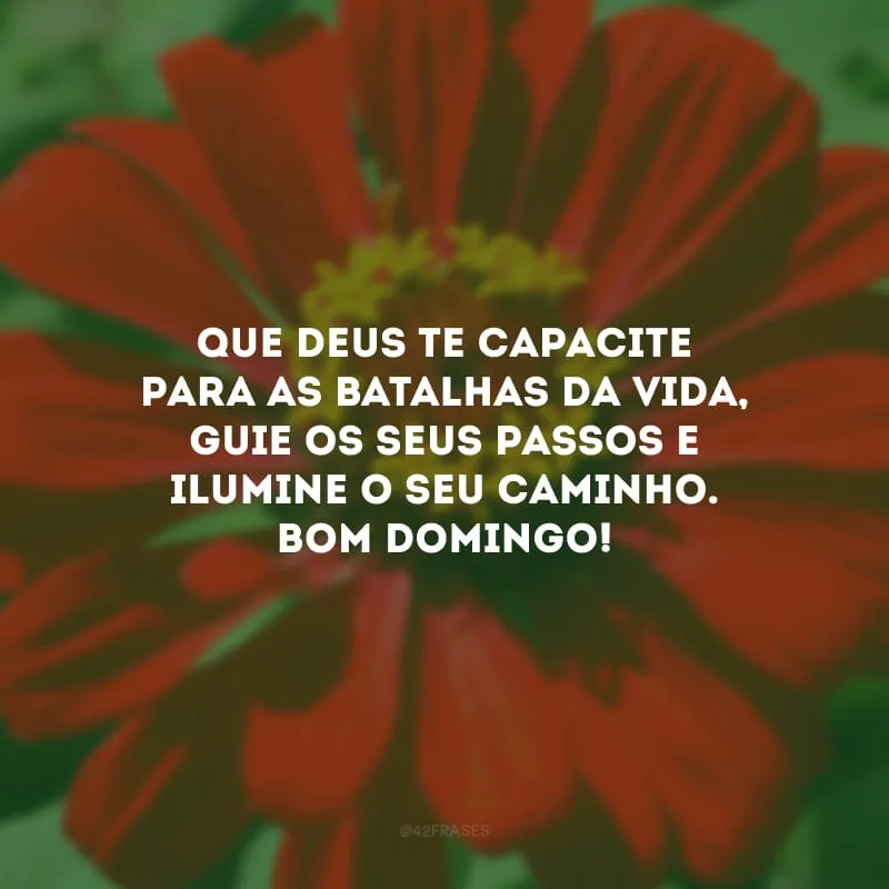Que Deus te capacite para as batalhas da vida, guie os seus passos e ilumine o seu caminho. Bom domingo! 