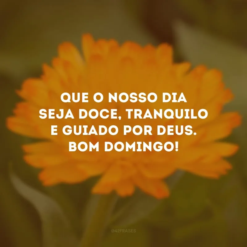 Que o nosso dia seja doce, tranquilo e guiado por Deus. Bom domingo! 