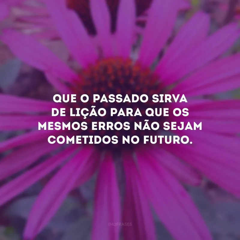 Que o passado sirva de lição para que os mesmos erros não sejam cometidos no futuro.